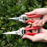 Pruning shears, tree pruning shears, pruning shears