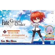 Petit Rits Master / Female Protagonist [Fate Grand Order]