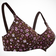 Autumnz - ZURINA Padded Nursing/Maternity Bra Size 36B