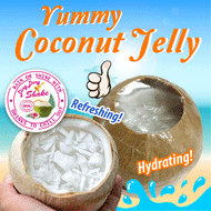 Yummy Coconut Jelly Buy 5 free 1 - $39.90. Free delivery.