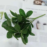 [Ready Stock] 7 Head Artificial Polyscias Guilfoylei Green Leaf Bush Plant | Fake Leaves | Daun Tiru