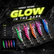 BOCEAN Luminous CT Squid Jig 2 Layer Hook Fishing Candat Sotong Gewang Mata Perambut Pancing