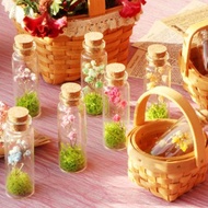 Four Ladies-滿天星許願瓶套組 極度花燥 永生花 花禮