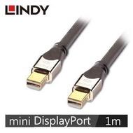 【二手】LINDY林帝 MINI DISPLAYPORT 1.3版 公 TO 公 傳輸線 1M (9成新)