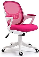 Office Chair Gaming Chair Barber Comfy Computer Chair Adjustable Height Office Chair with Chrome Base Padded Swivel Chair,Blue (Pink) lofty ambition