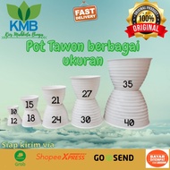 Wasp POT SIZE 10 cm / 12 cm / 15 cm / 18 cm / 21 cm |