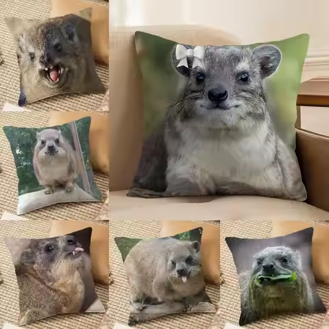 Rock Hyrax Animal funny Cushion Cover Silky Short Plush Invisible Zipper Dustproof Sofa Pillow Case 