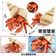 Trẻ Em Thực Tế Động Vật Đồ Chơi Mô Hình Cua Nhện Cua Vua Cua Bánh Mì Cua Bọ Ngựa Cua Dân Cư Cua