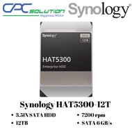 Synology HAT5300-12T 3.5IN SATA HDD 12TB 7200 rpm SATA 6 GB/s 5 Years Warranty