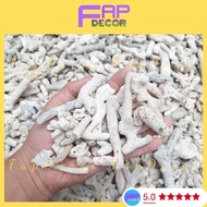 Sea Coral Filters Water Very Well to Increase Aquarium PH, Natural Sea Coral - FapFood