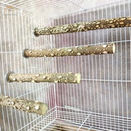PETPARADIS ไม้พริกไทย ที่บดบาร์รูปกรงเล็บนก ทนต่อการกัด 10/15/20/25/30ซม. ช่อต้นไม้นก นกแก้วสถานี นกกรงไม้ เสายืนนก บดบดละเอียด