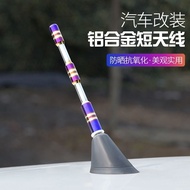 Suitable for Baojun RC-5/RM-5/RS-3 Car Antenna Pole Modified Shark Fin Roof Radio Signal Long Rod