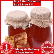 MR BENTONG HONEY Madu Asli Hutan Premium Pure Honey 野蜜蜂蜜 Tualang Kelulut Royale Jelly Sarang Lebah P