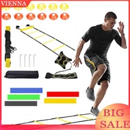 Agility Ladder Speed Training Equipment Set 20ft Agility Ladder 12 Soccer Cones for Soccer Football 