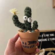 大眼仔編織仙人掌療癒小盆栽/文青/辦公小物