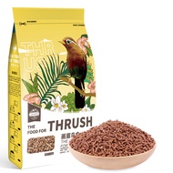 NC Thrush Bird Food Bird Food Starling Starling Thrush Bird Food Bailing Bird Food Bird Food Bird Fo