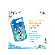 Downy Softener Premium Aqua Ocean 650Ml WMHU