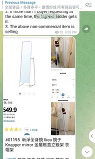 新淨全身鏡 Ikea 鏡子 Knapper mirror 金屬框直立鏡架 衣帽架