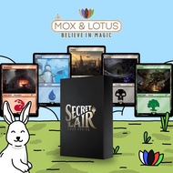 MTG *NON-FOIL* Secret Lair x Arcane: Lands Magic the Gathering