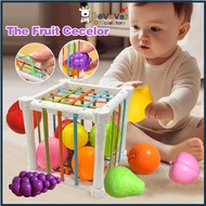 BEVAVAR Baby Sensory Toys Shape Sorting Toy Montessori Educational Toys Activity Learning  Sensory T