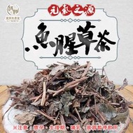 【小魚生活館台灣現貨】和春堂 消暑降火「魚腥草茶包」健康維持 沖泡茶飲茶包