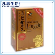維特健靈 - 維特健靈 純野生五色靈芝 72粒 #19378