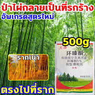 🍂กำจัดต้นไม้และไฟให้หมดจด🍂 ยากำจัดต้นไม้ 500g สูตรเข้มข้น ปลอดภัยขึ้นมีประสิทธิภาพขึ้น ยาฆ่าต้นไม้ ตรงไปที่ราก รากไม้เน่า1000% ยาฆ่าตอต้นไม้ รากเน่าอัตโนมัติไม่ใช้แรงคน ไม่เป็นอันตรายต่อดิน ยากำจัดต้นไม้ใหญ่ สารกำจัดต้นไม้ ยาฆ่าต้นไม้ใหญ สารกำจัดกอไผ่