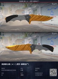 CSGO CS2 Skin 流浪者匕首 (★) | 虎牙 Factory New