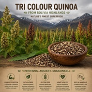 500G | 1KG ORGANIC TRI-COLOUR QUINOA IMPORTED FROM BOLIVIA