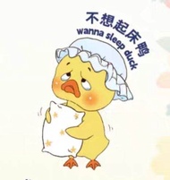 ตุ๊กตาน้องเป็ด Doll upsetduck V.2  เป็ดหน้าบึ้ง