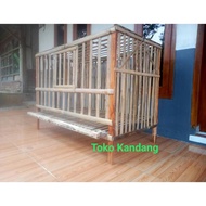 TERLARIS Kandang Ayam Petelur Bambu Lipat Rakitan