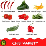 Sili Chili Hot Sweet Pepper Seeds Binhi Pantanim Outdoor Garden Plant