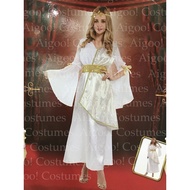 United Nations Costume Greece Girl/Greek Goddess Costume for Women ZTK6