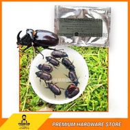 SIME DARBY Pheromone Trapping Rhinoceros Beetle Palm Oil Coconut Kebun Kelapa Sawit Feromon Perangka