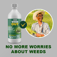 Weed Out Selective Weed Killer (250ML FOR 1 BOTTLE) - Grass Killer: Root-killing Weed Elimination Fo