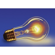 60w incandescent light bulb for egg incubator