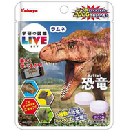 Kabaya Foods Illustrated LIVE Ramune 27g