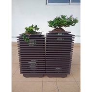 Pasu Bonsai plastik petak pasu bonsai kecil