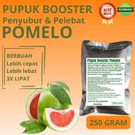 Pupuk Booster Pomelo / Obat Booster Buah Pomelo / Pupuk Booster Buah Pomelo / Pupuk Buah Pomelo