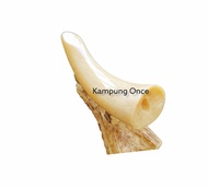 Pipa Once Duyung Taring Taringan