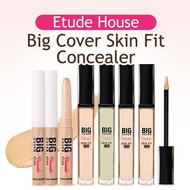 [Etude House] Big Cover Skin Fit Concealer / Stick Concealer