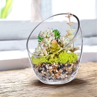 Clear Slant Cut Bubble Bowl, Fish Bowl & Plant Terrarium, Candy Jar Slant Cut Globe Vase Center Piec
