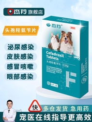 Pet Dog Cat Inflammation Tablet Medicine Cephalexin Anti-Cold Gastrointestinal Urinary Tract Blood S