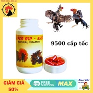 B12 9500 gom bo cấp tốc đá bo lớn nạp bin nhanh kích thích gà thèm ăn 100 viên