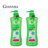 GINVERA Green Tea Shampoo 750g x 2  (Scalp Care)