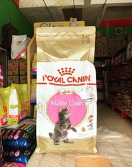 Royal canin kitten mainecoon 2kg