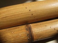 台灣天然竹 帶皮竹棍90公分直徑約2.5公分可當白蠟桿白臘桿少林棍 齊眉棍 健身棍 防身木棍太極棍 猴棍天然竹鞭