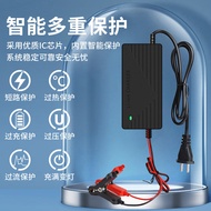 12V Lithium Battery Charger Outdoor Portable Power Bank14.6V5A Charger12.6V16.8V5A10A Three yuan ZYQ