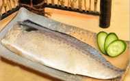 【薄鹽北大西洋鯖魚片(特大)】只要新鮮，簡單料理即是美味