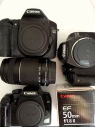 Canon， 閃燈，550D. 50D,1000d,600d,50,55-250